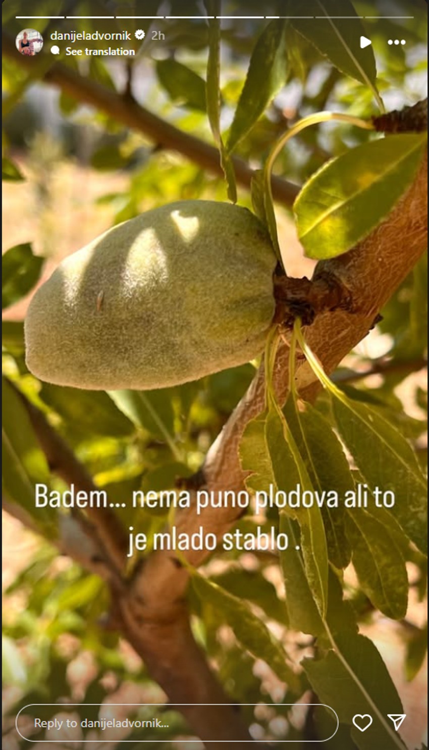 Danijela Dvornik se pohvalila plodovima iz voćnjaka