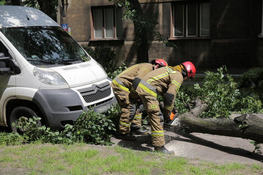 O krok od tragedii. Drzewo runęło na ulicę