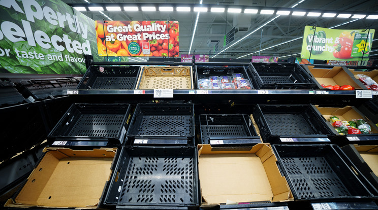 Sok vásárló találkozható hasonlóan üres pultokkal Nagy-Britannia szupermarketjeiben. A képen egy manchesteri üzlet zöldségpultja / Fotó: Northfoto