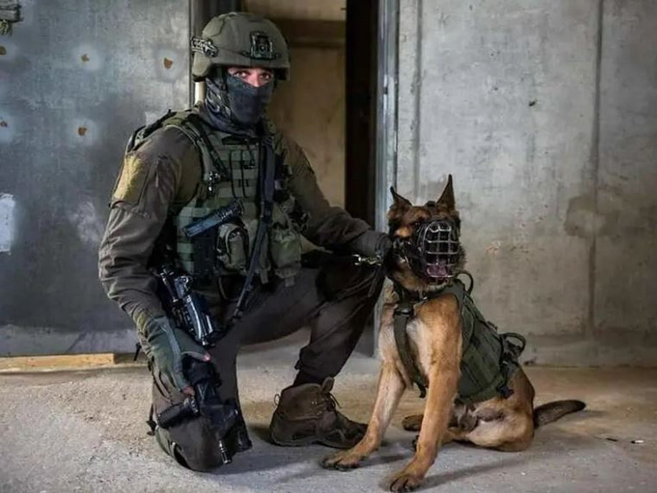 Żołnierz i pies z jednostki Oketz (z hebrajskiego "żądło")
