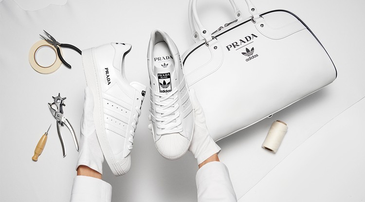 Prada x adidas Superstar