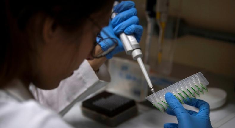 A student of the Federal University of Rio de Janeiro works at a biology laboratory