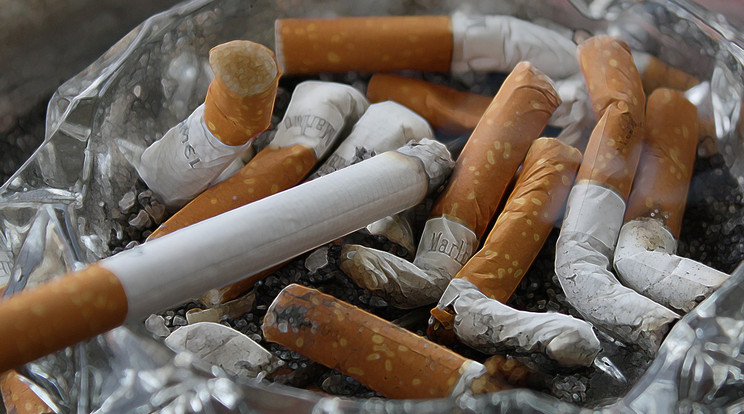 22 éves korig betiltanák a dohányzást a tudósok / Illusztráció / Fotó: Pixabay