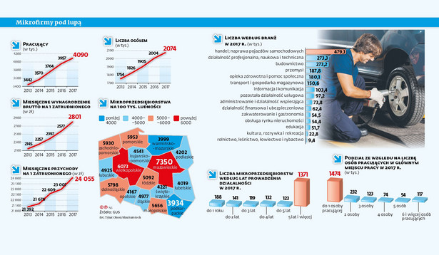 Mikrofirmy pod lupą