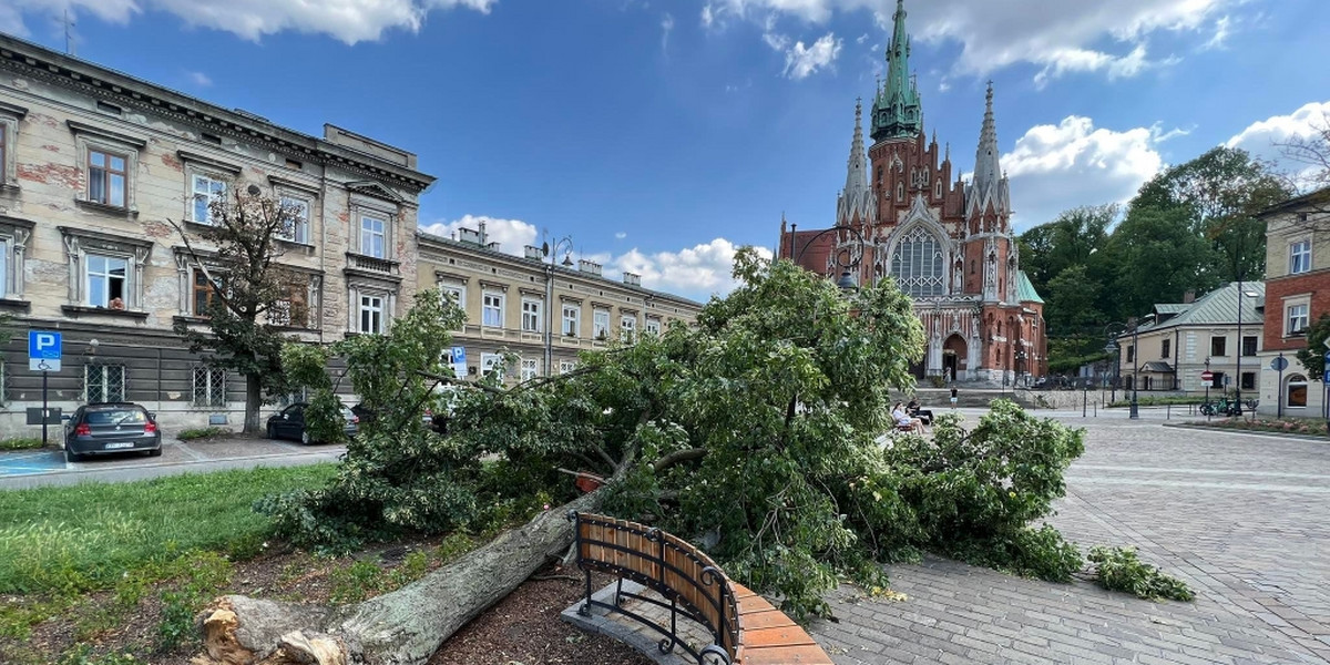 W Krakowie jest bardzo wiele zniszczeń - trwa wielka akcja ich usuwania