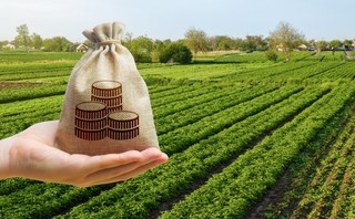Rolnicy mogą dostać nawet 3000 zł za hektar. Minister rolnictwa zdradza szczegóły