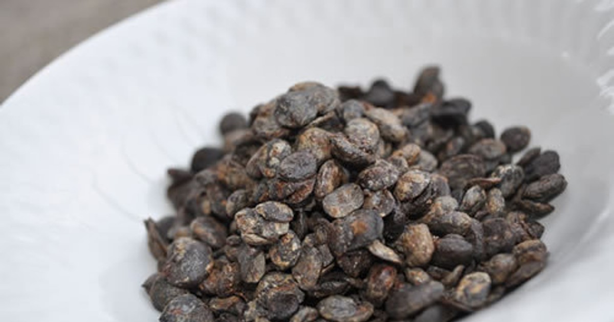 Iru These are amazing health benefits of African locust bean Pulse