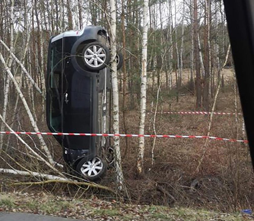 Auto "stanęło" na drzewie. Kierowcy szuka policja