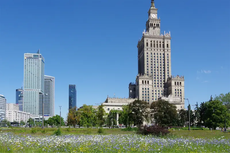 Łąka kwietna w centrum Warszawy