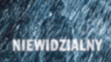 Niewidzialny - plakaty