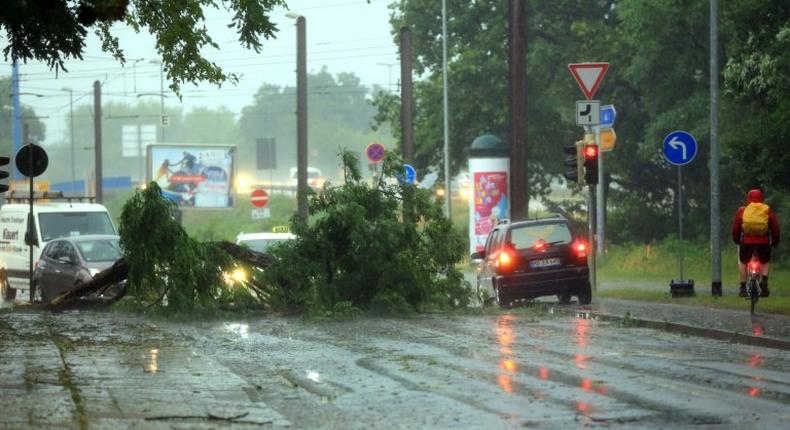 A car drives past a fallen tree after heavy storms lashed magdeburg in northern Germany, on June 22, 2017