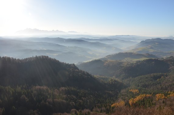 Małe Pieniny. Widoki ze szlaku ze Szczawnicy na Wysoki Wierch i Wysoką.