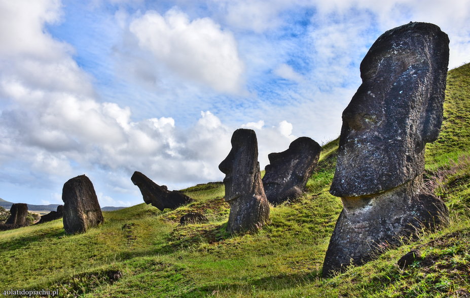 Wyspa Wielkanocna - kamieniołom w którym powstawały posągi Moai.