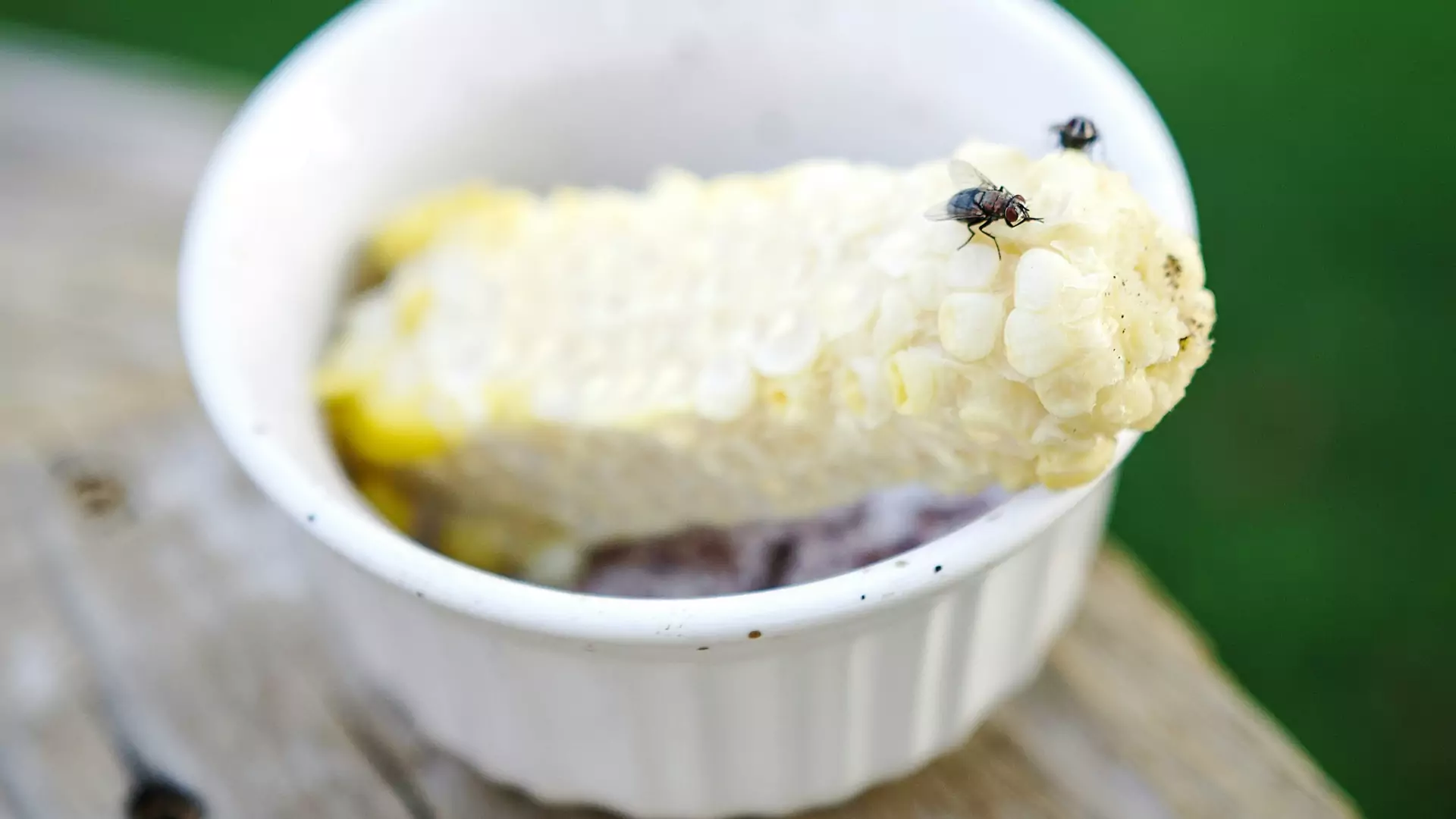 Co się dzieje, gdy mucha ląduje na twoim jedzeniu? Więcej tego nie zjesz