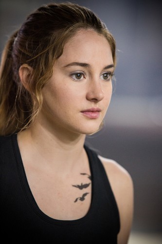Shailene Woodley jako 'Niezgodna'