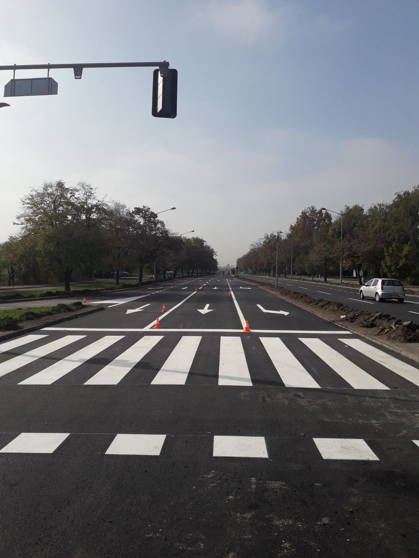 Radovi u Bulevaru Jovana Dučića