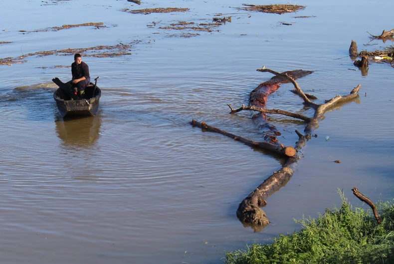 pecanje drva ava Gradiška