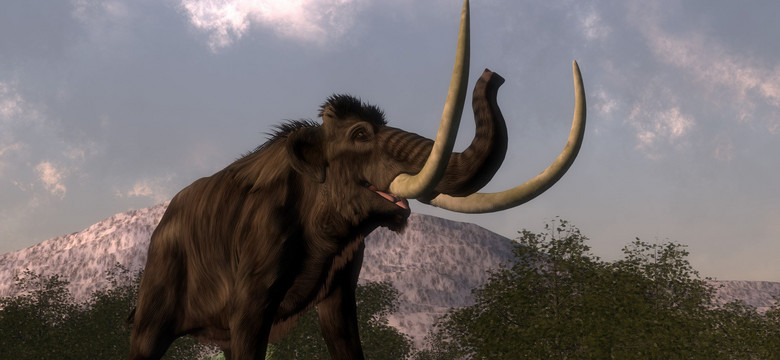 Naukowcy odtworzą mamuty? To już nie science fiction, są pieniądze