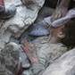 Jameel Mustafa Habboush cudem przeżył rosyjski nalot na dzielincę Fardous we wschodnim Aleppo, październik 2016 r. Fot. Thaer Mohammed/AFP