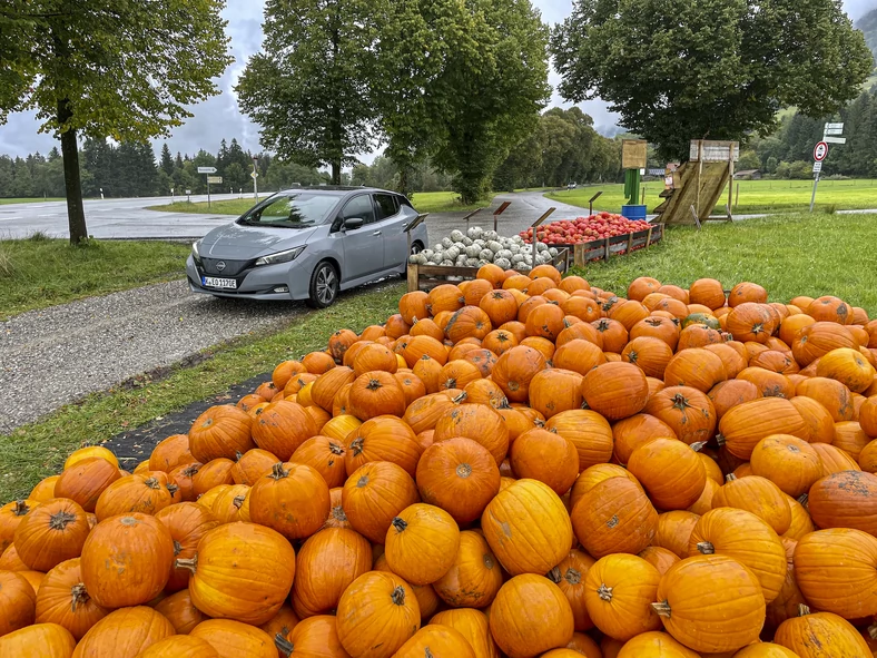 Przydrożna sprzedaż płodów rolnych – samoobsługa i płatność do puszki