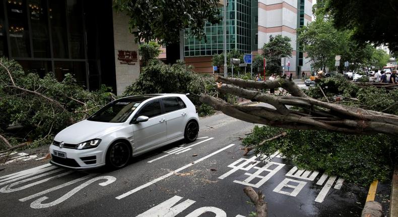 A vehicle drives among trees uprooted by strong winds from Typhoon Nida in Hong Kong, China August 2, 2016. 