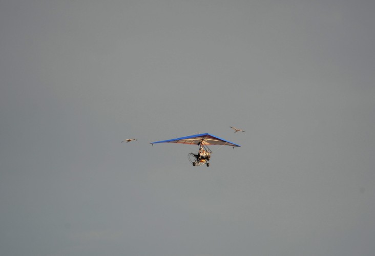 Putin w przestworzach