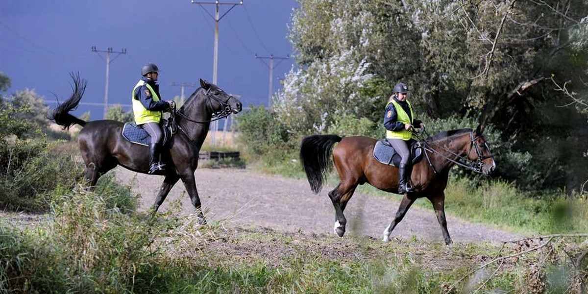 Strażnicy pilnują rybek... a menele rządzą