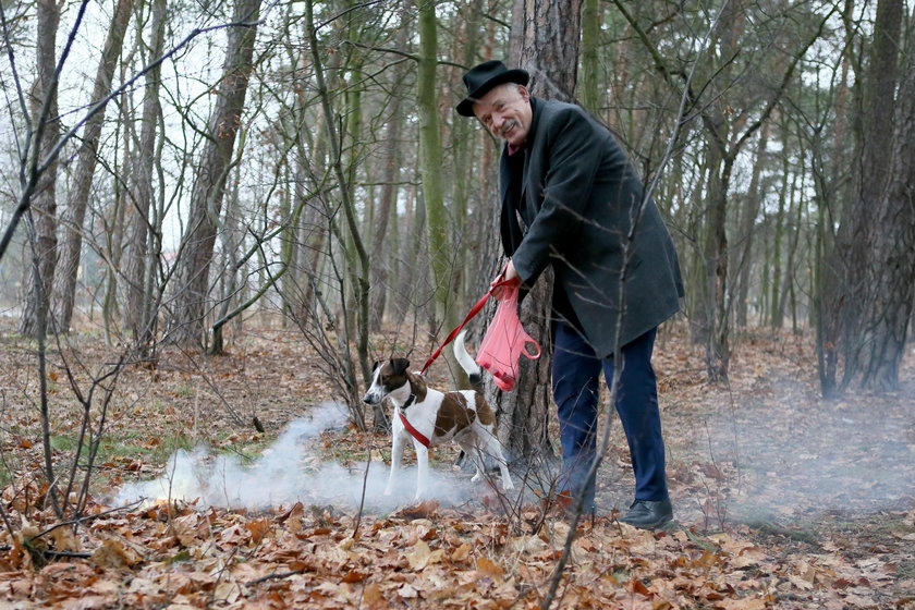 Korwin-Mikke: fajerwerki są dobre dla psów