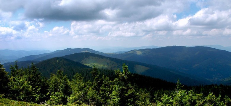 Zapomniany raj bez tłumów. Tu odpoczniesz od zgiełku Zakopanego