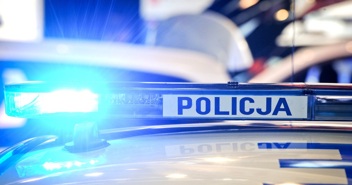 Tragedia pod Jasłem. Nie żyje kierowca i pies