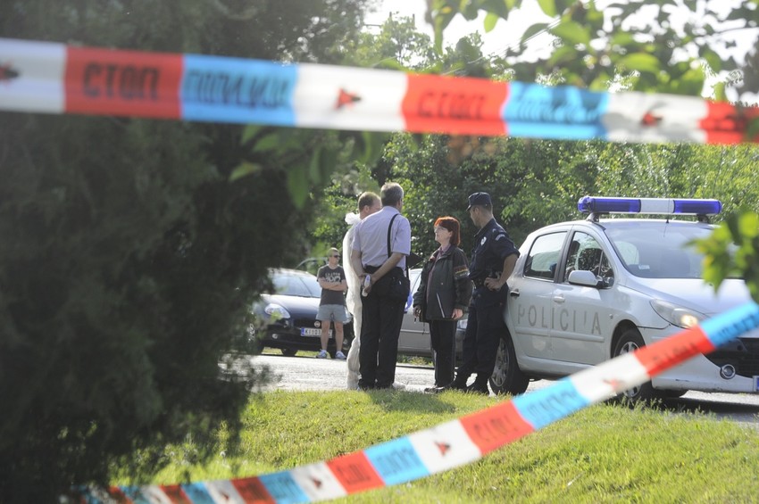 Krvava svadba u Martonošu 2015. godine