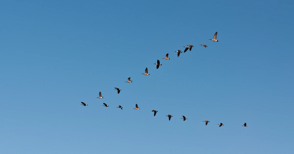 Dziwne obiekty nad Polską. Radary biją na alarm