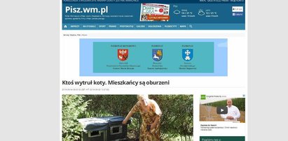 Zgroza! W Piszu trują koty!