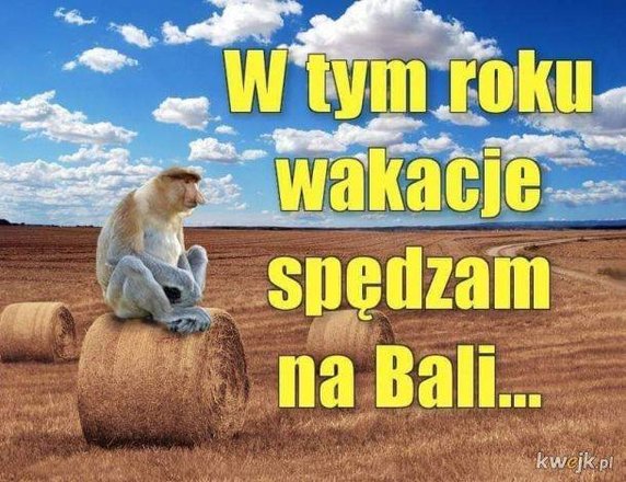 Wakacje 2021 - memy