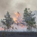 "Nasz dom płonie". PE bije na alarm i zwiększa presję na UE