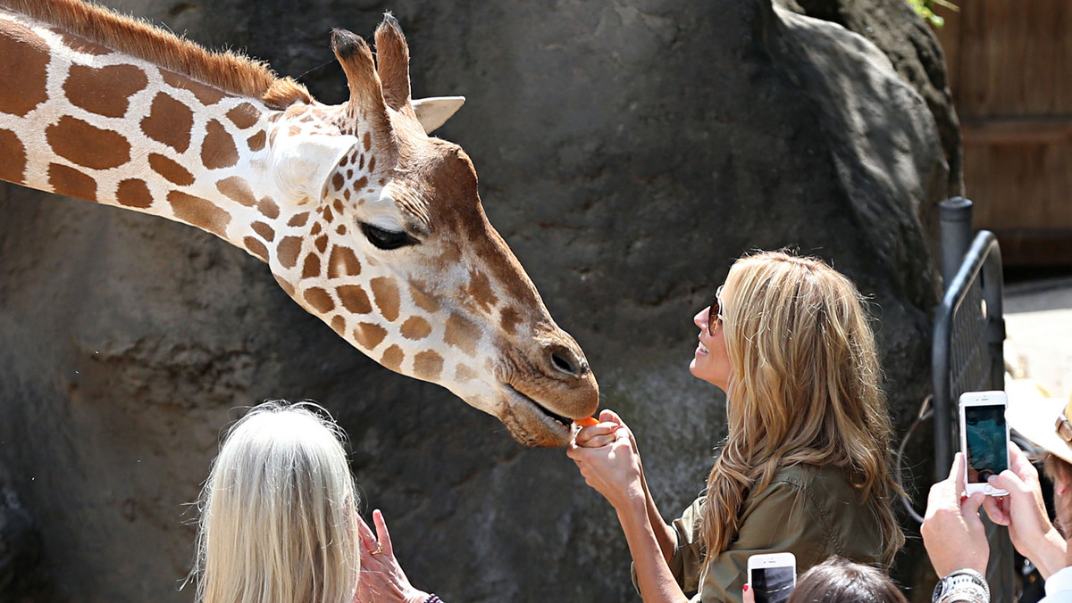 Heidi Klum karmi żyrafę