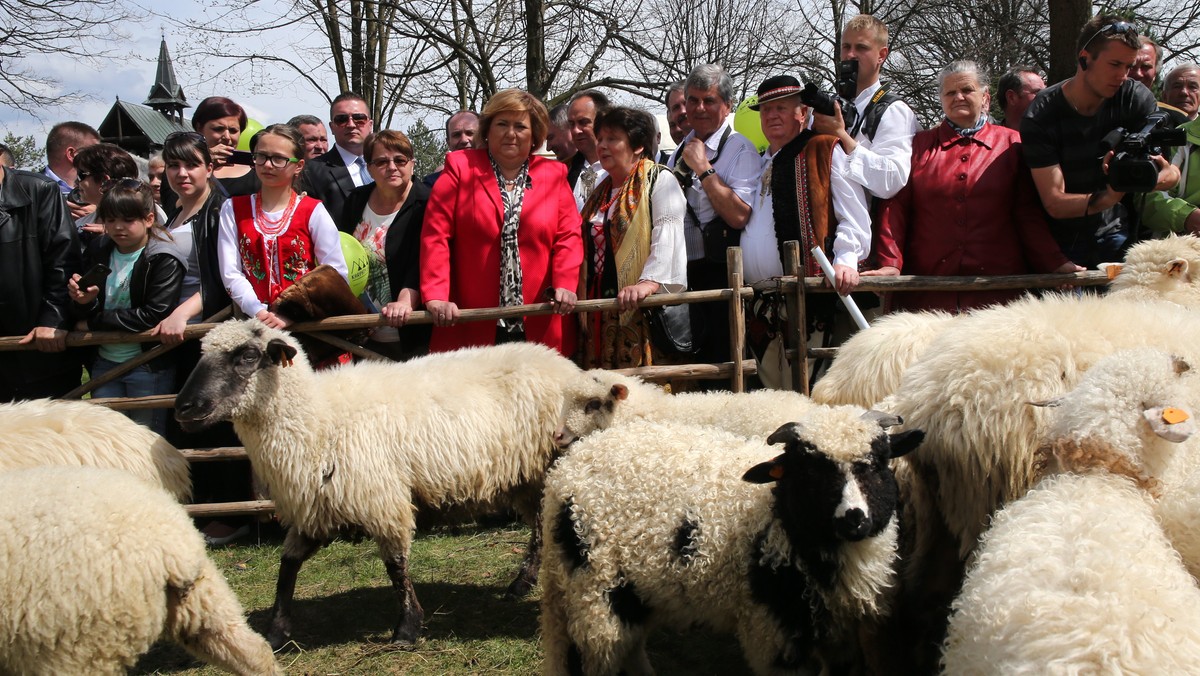 Prezydentowa Anna Komorowska - bez małżonka - pojawiła się w Ludźmierzu, aby wraz z bacami świętować uroczystość św. Wojciecha, która rozpoczyna wiosenny redyk. W Ludźmierzu odbyło się Święto Bacowskie i Święcone Związku Podhalan. Te dwa wydarzenia miały miejsce się w ramach I Zjazdu Karpackiego. Do Sanktuarium Matki Boskiej Ludźmierskiej Królowej Podhala przyjechali hodowcy owiec, juhasi i oczywiście bacowie z Podhala Spisza i Orawy i Pienin oraz ze Śląska.