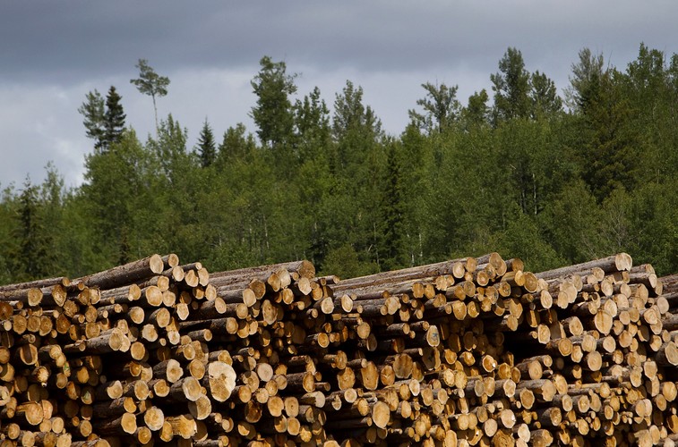 Od czerwca 2006 roku Jan Kulczyk zasiadał w Radzie Dyrektorów Green Cross International. Organizacja działa już od 22 lat na rzecz ochrony środowiska naturalnego i walki z biedą. Wśród sukcesów organizacji wymienić można utylizację 50 ton broni chemicznej, zapewnienie dostępu do wody pitnej mieszkańcom Ghaby i Boliwii oraz objęcie miliona dzieci programem edukacji. <br><br> Od 6 października 2007 roku Jan Kulczyk był przewodniczącym rady dyrektorów organizacji. Działalność organizacji wspierają między innymi Robert Bedford, Leonardo di Caprio i Penelope Cruz.