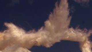 'Obłokobujanie' Patti Smith: Prawdy dzikie i barbarzyńskie