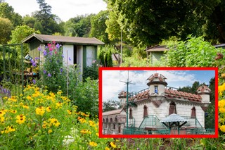 Taka działka ROD to prawdziwy unikat. Możesz kupić sobie 'zamek'