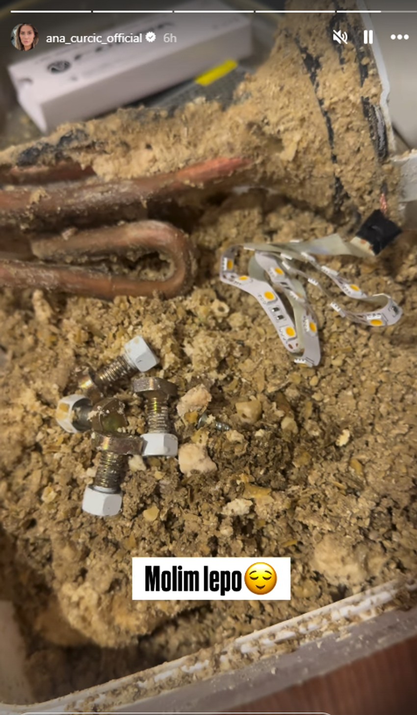 Ana Ćurčić objava