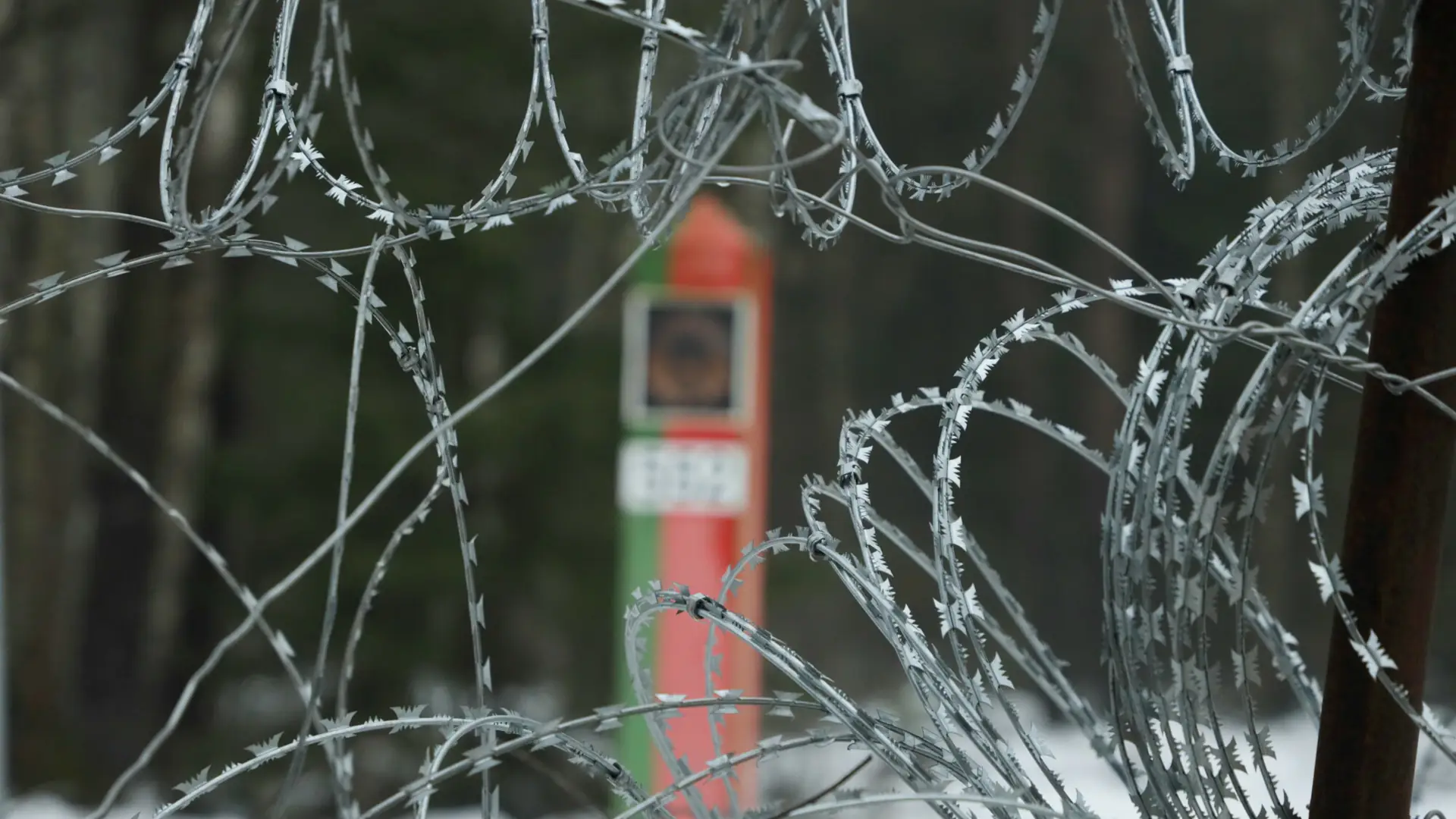 Strajk głodowy i próba samobójcza. Dzieci w zamkniętych ośrodkach dla uchodźców w Polsce