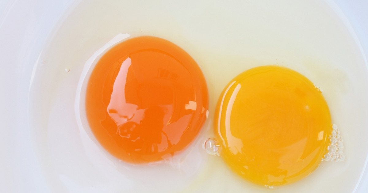 Jak sprawdzić świeżość jajka - w wodzie, po ugotowaniu - Kobieta