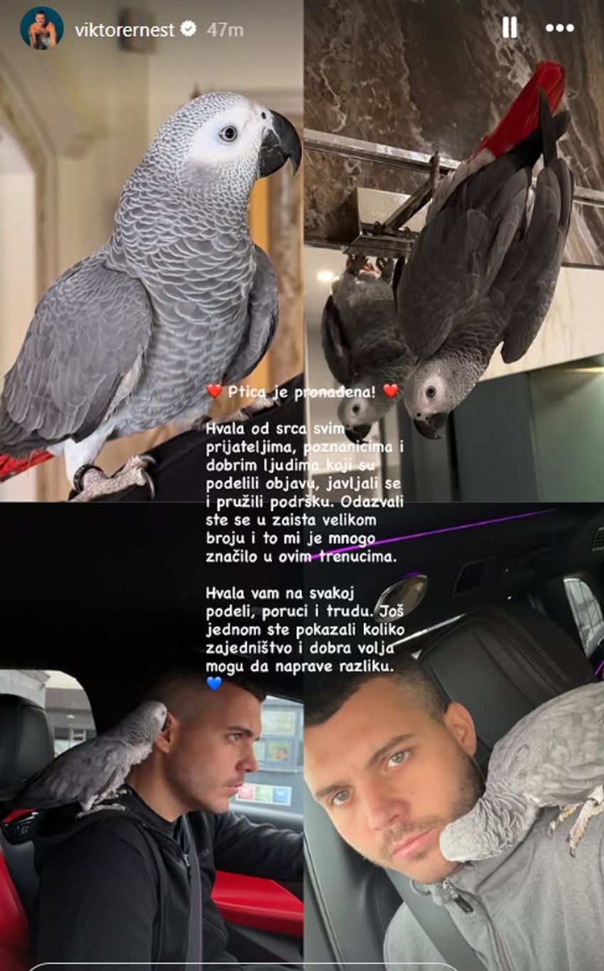 Viktor Živojinović pronašao pticu