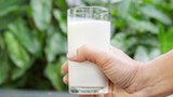 Ile szklanek mleka dziennie? Naukowcy ustalili idealną ilość