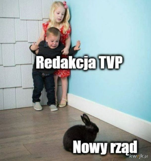 Mem o TVP