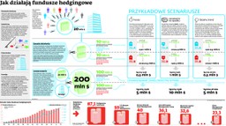 Fundusze hedgingowe: Piraci gospodarki