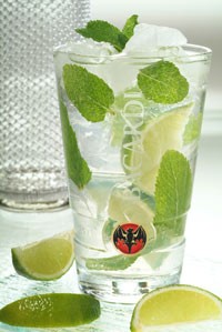 31210_mojito-d000282CC6078d20441d4