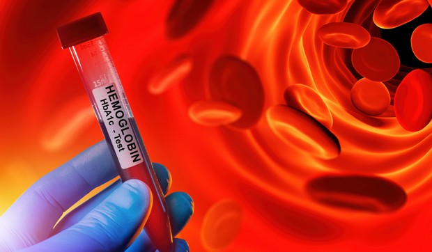 Hemoglobin je protein u crvenim krvnim zrncima koji prenosi kiseonik od pluća do ostatka tela