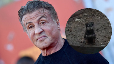 Mały Rambo, pomocnik ukraińskich żołnierzy, stał się internetowym viralem. Skomentował to Sylvester Stallone